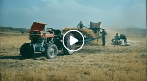 Köyümü Özledim Gardaş - Muhteşem Şiir - Murat İnce